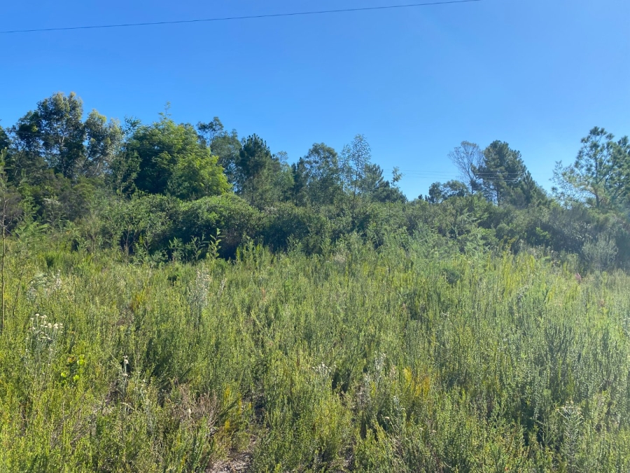 Commercial Property for Sale in Plettenberg Bay Rural Western Cape